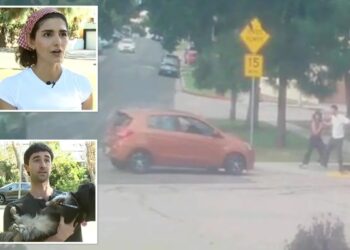 Terrifying moment deranged driver tries to run over couple and their dog at LA park: ‘Bet you’re f—ing scared now’