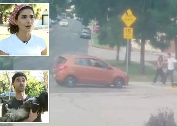 Terrifying moment deranged driver tries to run over couple and their dog at LA park: ‘Bet you’re f—ing scared now’