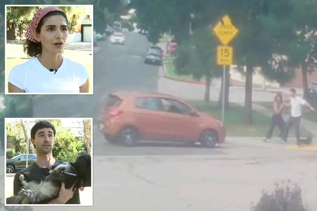 Terrifying moment deranged driver tries to run over couple and their dog at LA park: ‘Bet you’re f—ing scared now’