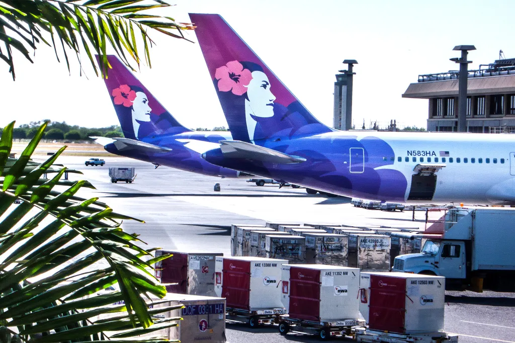 Two planes with women's faces and pink flowers on their tails on an airport tarmac.