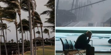 Travel chaos at LAX as hurricane cancels Hawaii-bound flights