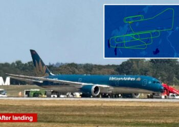 Vietnam Airlines flight forced to dump fuel, return to airport after tail strikes runway