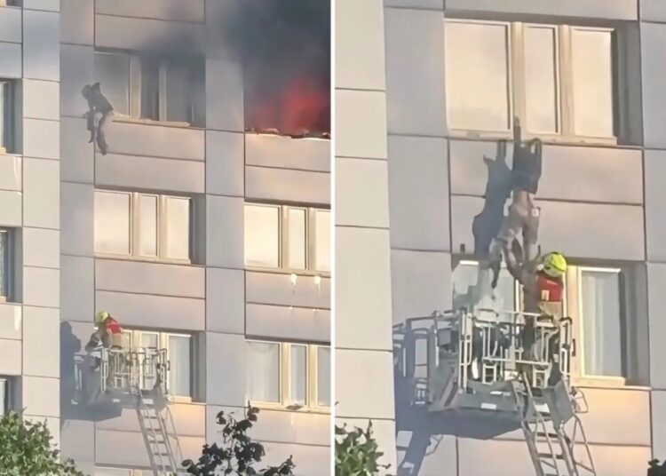 Harrowing video shows woman take death-defying leap from 11th-floor of burning high-rise building