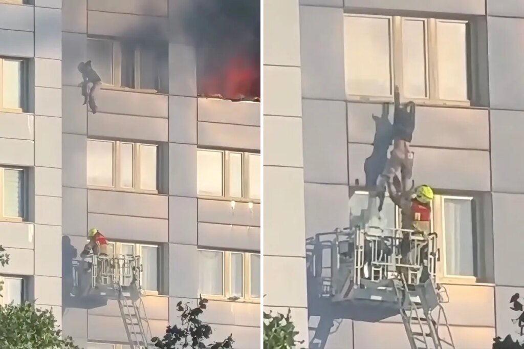 Harrowing video shows woman take death-defying leap from 11th-floor of burning high-rise building