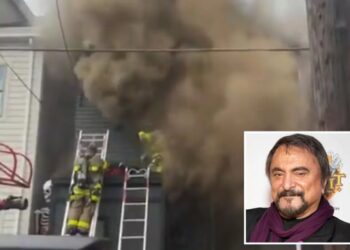 Moment ‘Dawn of the Dead’ actor’s home burns down as firefighters battle blaze: ‘Devastated’