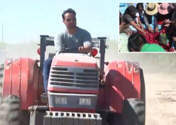 California farmer who sparked frenzied crowds with free nectarine stunt ordered to destroy fruit trees