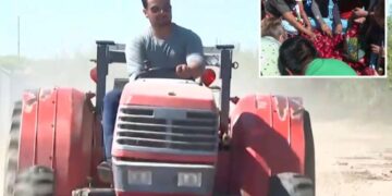 California farmer who sparked frenzied crowds with free nectarine stunt ordered to destroy fruit trees