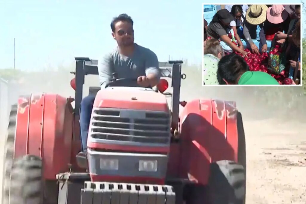 California farmer who sparked frenzied crowds with free nectarine stunt ordered to destroy fruit trees