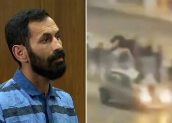Iran executes man convicted of running over police during January protests