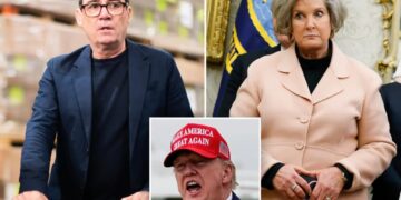 New UK Prime Minister texted with imposter posing as top Trump aide: report