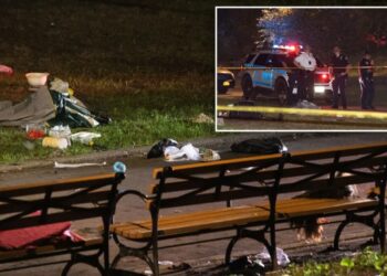 Woman, 30, fatally stabbed in Brooklyn park