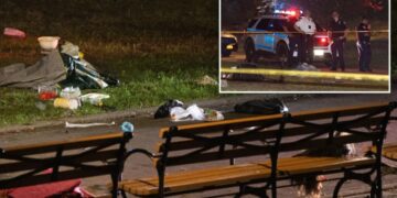 Woman, 30, fatally stabbed in Brooklyn park