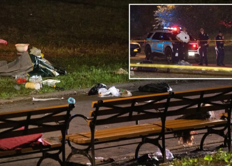 Woman, 30, fatally stabbed in Brooklyn park
