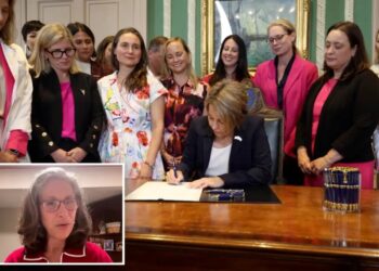Neonatologist sounds alarm over ‘disturbing’ Massachusetts abortion law allowing procedures up to birth