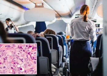 Flight attendants, pilots have highest risk of dying from radiation-linked cancers, study says