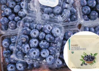 Blueberry recall over deadly E. coli fears hits FDA’s highest-risk level — with 12 sickened, 4 hospitalized