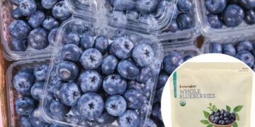 Blueberry recall over deadly E. coli fears hits FDA’s highest-risk level — with 12 sickened, 4 hospitalized