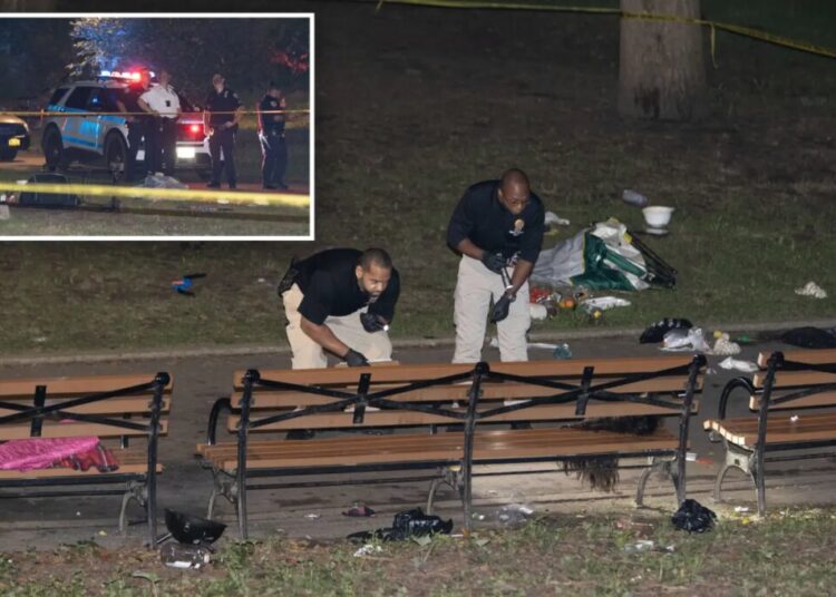 Maniac fatally stabbed 30-year-old mom in NYC park in fit of rage over spurned advances – in front of her son, 7: NYPD