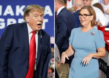 Trump warns SC voters they’ll ‘lose everything’ if Darline Graham doesn’t win Senate race: ‘Pretend I’m on the ballot’ 