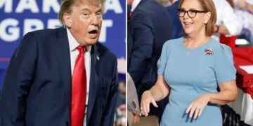 Trump warns SC voters they’ll ‘lose everything’ if Darline Graham doesn’t win Senate race: ‘Pretend I’m on the ballot’ 