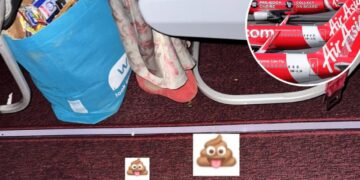‘Strange smell’: Woman poops on airplane seat with toilet just feet away