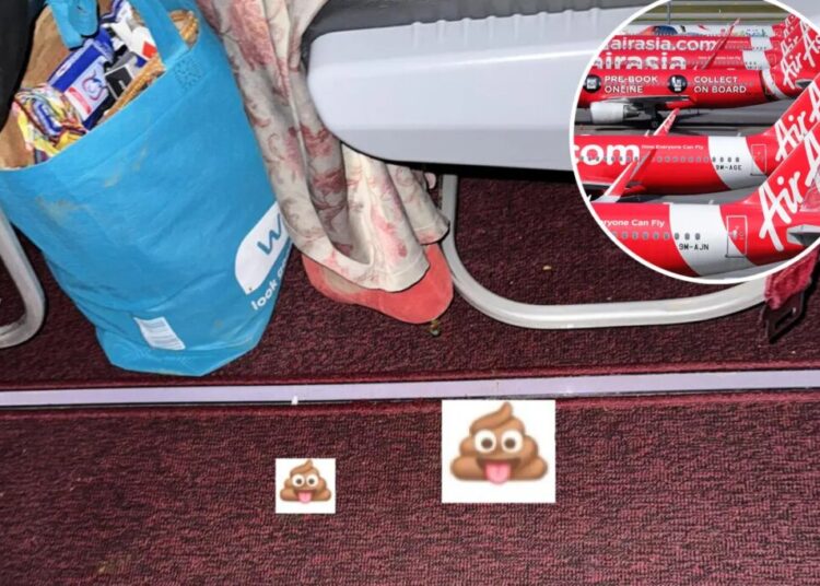 ‘Strange smell’: Woman poops on airplane seat with toilet just feet away