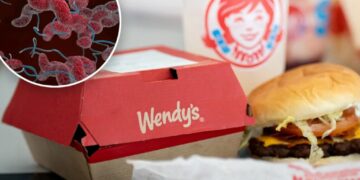 Chicago woman hospitalized after Wendy’s ‘bacteria-tainted’ double cheseburger: lawsuit