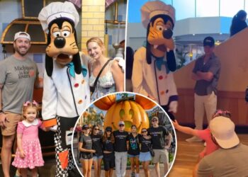 A-list actor goes incognito at Disneyland during heartwarming moment with Goofy