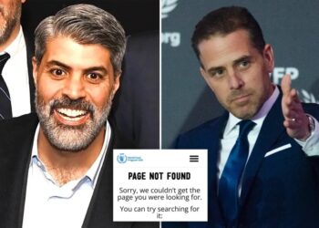 UN charity once chaired by Hunter Biden stands by Texas money man after Post reveals DHS probe into $100M anti-Israel ‘war chest’