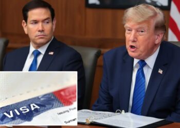 Trump admin to target 200,000 foreigners in largest mass visa revocation ever: report 