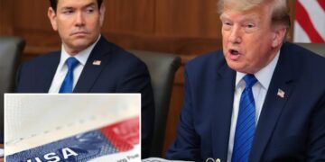 Trump admin to target 200,000 foreigners in largest mass visa revocation ever: report 