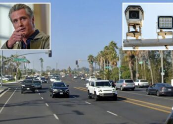 Gavin Newsom mulls bringing in more speed cameras on Pacific Coast Highway