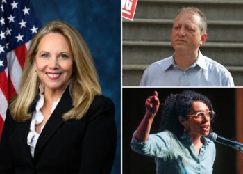 NY AFL-CIO snubs Mamdani-backed socialist Daraliza Avila Chevalier, Democrats Lander and Gillen in House races
