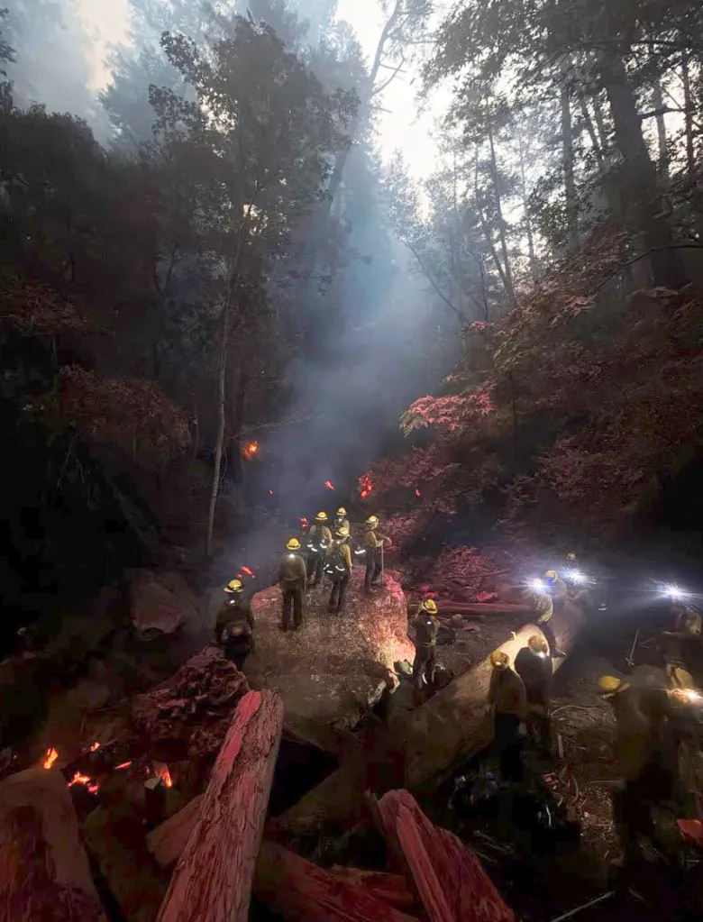 Firefighters battling the Plaskett Fire in a smoky forest.