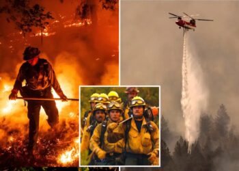 Napa Valley winery worker charged with starting massive fire that caused $56M in losses