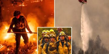 Napa Valley winery worker charged with starting massive fire that caused $56M in losses