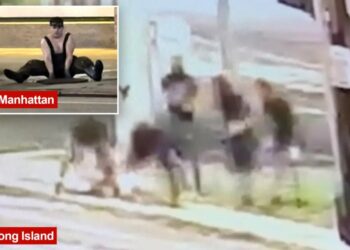 Five Long Island ‘mole people’ seen crawling into manhole — week after headlamp-wearing trio emerged in NYC