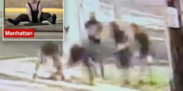 Five Long Island ‘mole people’ seen crawling into manhole — week after headlamp-wearing trio emerged in NYC