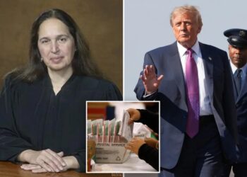Judge blocks rule implementing Trump plan to restrict mail-in voting