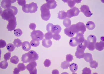 A Mutation Is Making It Easier for Drug-Resistant Malaria to Spread