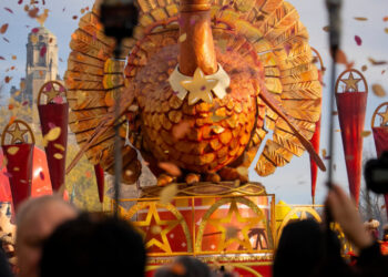 How Thanksgiving Became Political: Francesca Hong’s Tweets Explained