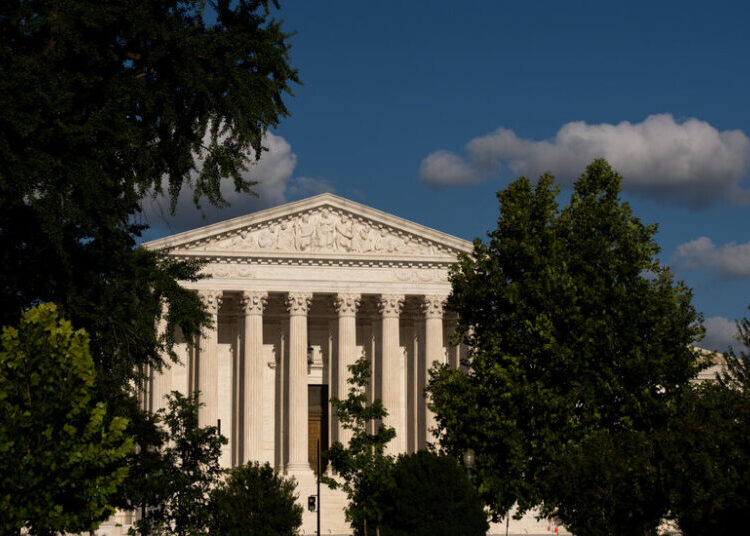 An Unlikely Emergency Appeal to the Supreme Court from a Dog Named Bruce