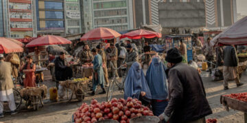 Female Afghans Erased From Public Life in Five Years of Taliban Rule