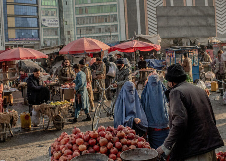 Female Afghans Erased From Public Life in Five Years of Taliban Rule