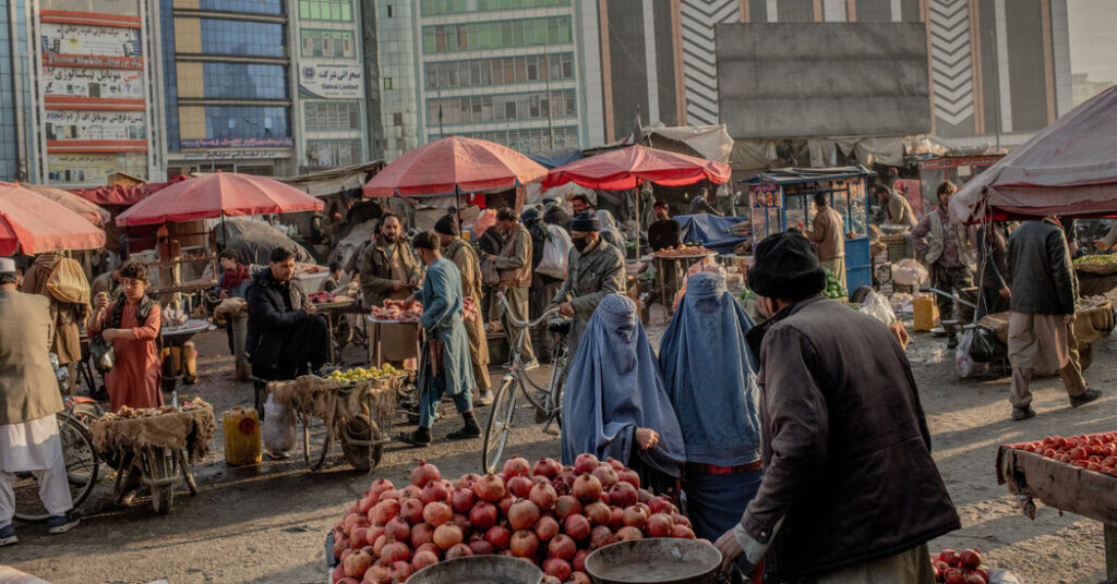 Female Afghans Erased From Public Life in Five Years of Taliban Rule