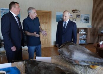 Putin Visits Islands Seized from Japan in World War II, Angering Tokyo