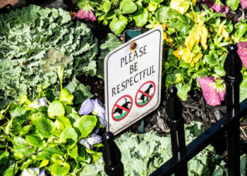 New York Will Compost and Target Dog Waste in the City