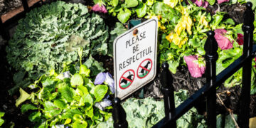 New York Will Compost and Target Dog Waste in the City