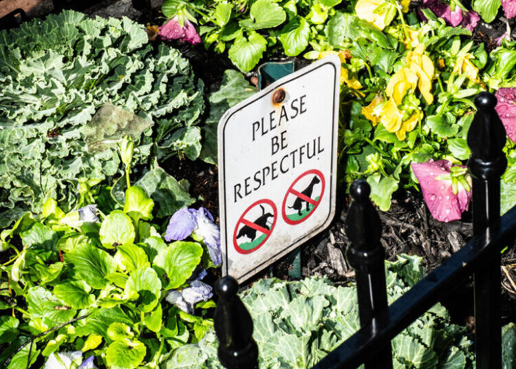 New York Will Compost and Target Dog Waste in the City