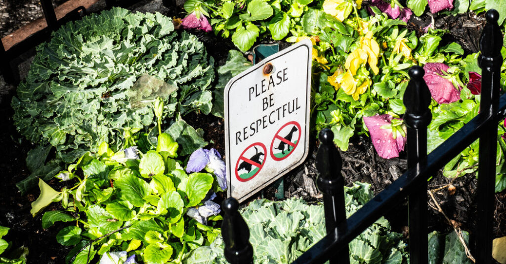 New York Will Compost and Target Dog Waste in the City